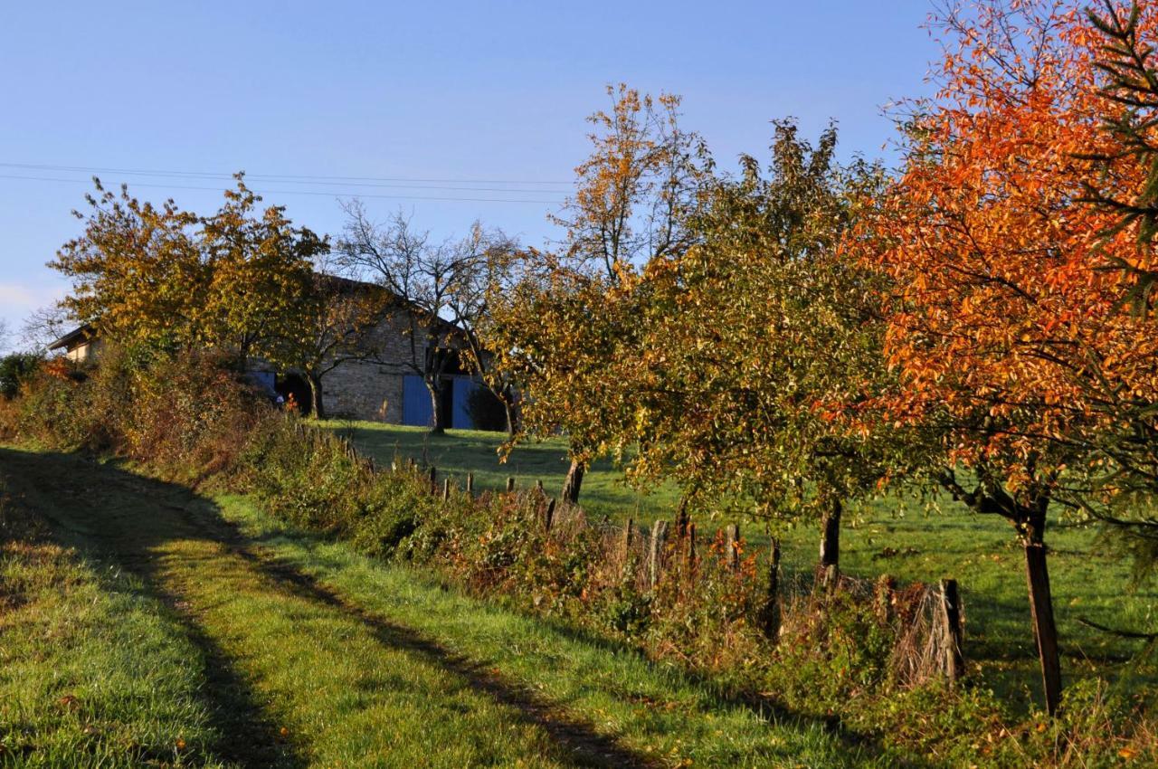 Terres De La Grange Bed & Breakfast Cuisiat Eksteriør bilde